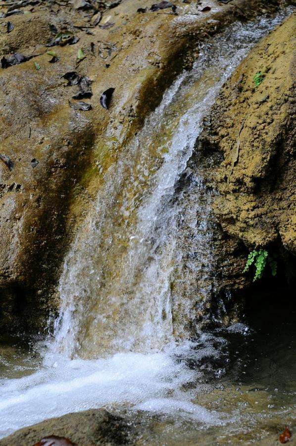 Puluong Jungle King Homestay Lang Chieu Exterior foto